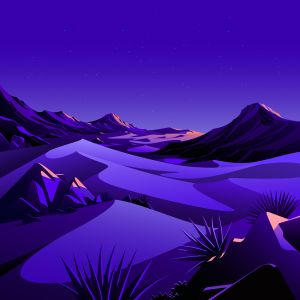Wallpaper